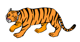Tigres image