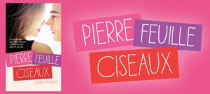 Pierre-feuille-cisea1E9372[1]